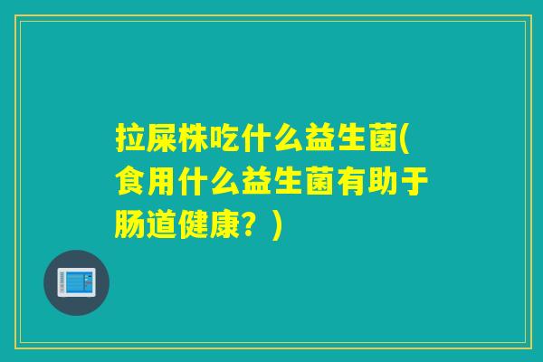 拉屎株吃什么益生菌(食用什么益生菌有助于肠道健康？)