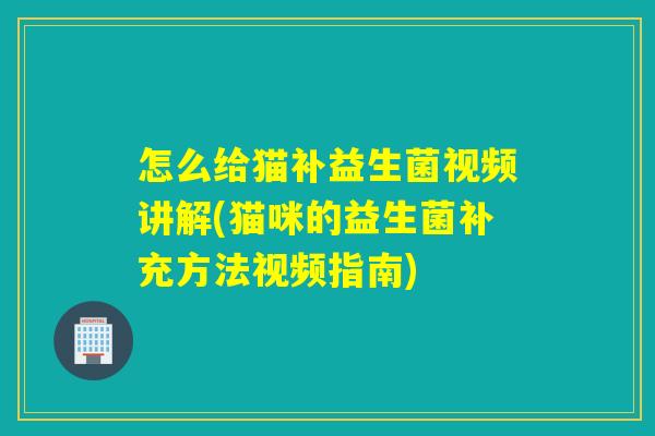 怎么给猫补益生菌视频讲解(猫咪的益生菌补充方法视频指南)