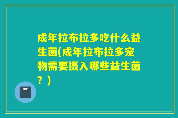 成年拉布拉多吃什么益生菌(成年拉布拉多宠物需要摄入哪些益生菌？)