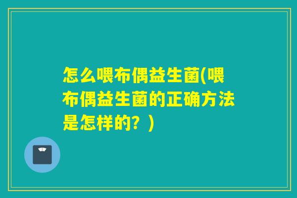 怎么喂布偶益生菌(喂布偶益生菌的正确方法是怎样的？)
