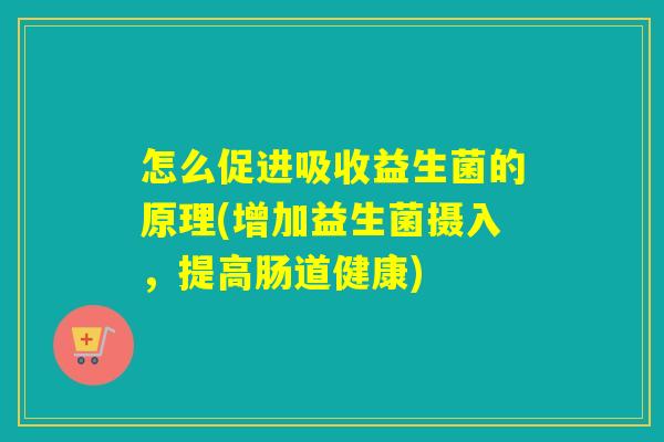 怎么促进吸收益生菌的原理(增加益生菌摄入，提高肠道健康)