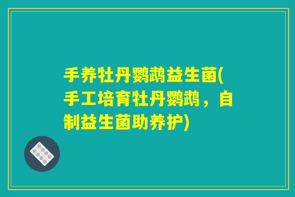 手养牡丹鹦鹉益生菌(手工培育牡丹鹦鹉，自制益生菌助养护)