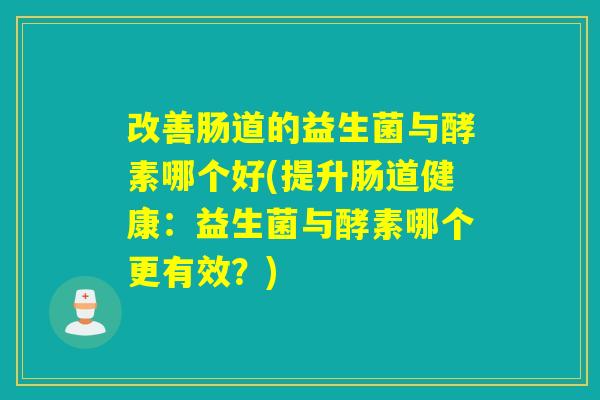 改善肠道的益生菌与酵素哪个好(提升肠道健康：益生菌与酵素哪个更有效？)