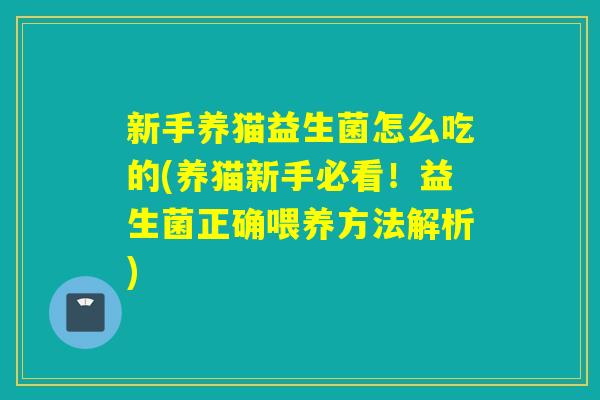 新手养猫益生菌怎么吃的(养猫新手必看！益生菌正确喂养方法解析)