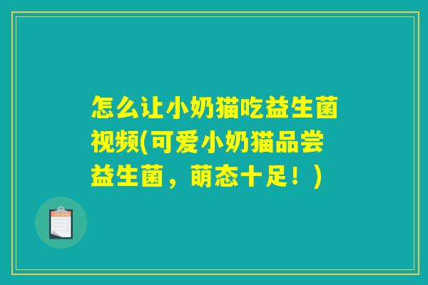 怎么让小奶猫吃益生菌视频(可爱小奶猫品尝益生菌，萌态十足！)