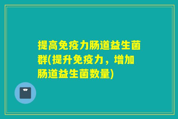 提高力肠道益生菌群(提升力,增加肠道益生菌数量) 提高力肠道益生菌群(提升力,增加肠道益生菌数量)