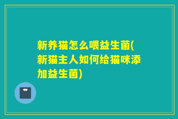 新养猫怎么喂益生菌(新猫主人如何给猫咪添加益生菌)