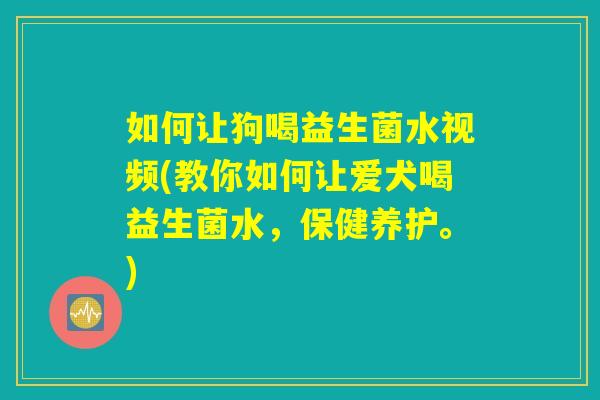 如何让狗喝益生菌水视频(教你如何让爱犬喝益生菌水，保健养护。)