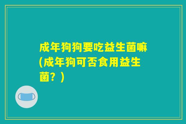 成年狗狗要吃益生菌嘛(成年狗可否食用益生菌？)