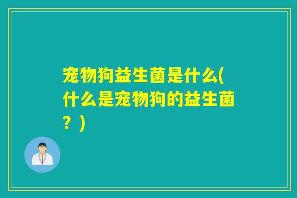 宠物狗益生菌是什么(什么是宠物狗的益生菌？)