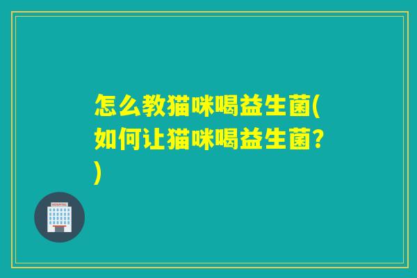 怎么教猫咪喝益生菌(如何让猫咪喝益生菌？)