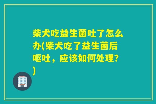 柴犬吃益生菌吐了怎么办(柴犬吃了益生菌后呕吐，应该如何处理？)