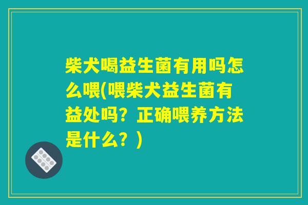 柴犬喝益生菌有用吗怎么喂(喂柴犬益生菌有益处吗？正确喂养方法是什么？)