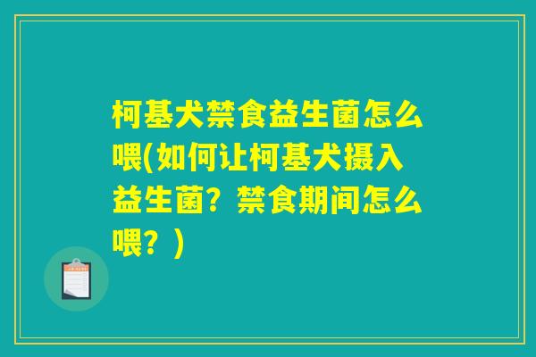 柯基犬禁食益生菌怎么喂(如何让柯基犬摄入益生菌？禁食期间怎么喂？)