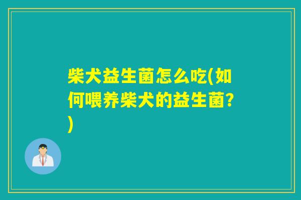 柴犬益生菌怎么吃(如何喂养柴犬的益生菌？)