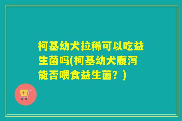 柯基幼犬拉稀可以吃益生菌吗(柯基幼犬腹泻能否喂食益生菌？)