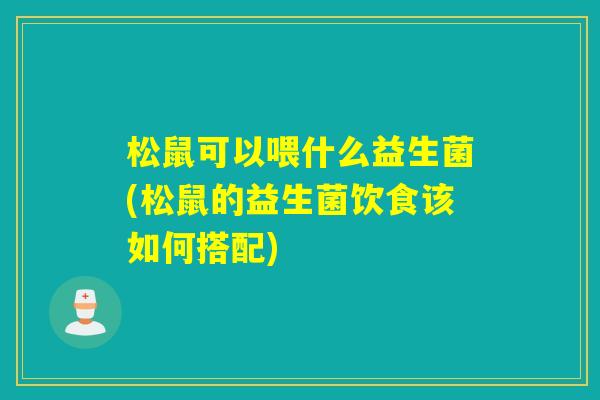 松鼠可以喂什么益生菌(松鼠的益生菌饮食该如何搭配)