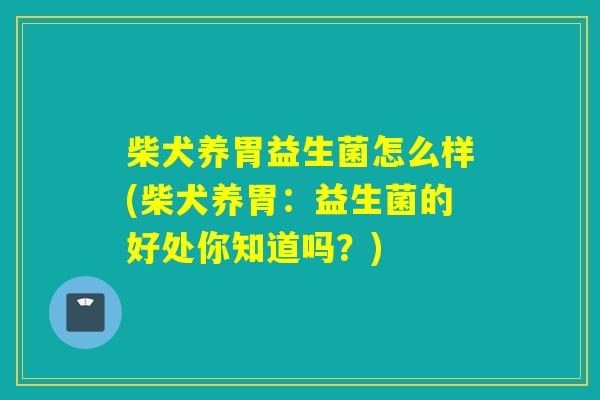 柴犬养胃益生菌怎么样(柴犬养胃:益生菌的好处你知道吗?) 柴犬养胃益生菌怎么样(柴犬养胃:益生菌的好处你知道吗?)