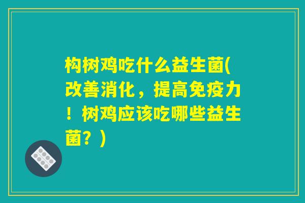 构树鸡吃什么益生菌(改善消化，提高免疫力！树鸡应该吃哪些益生菌？)