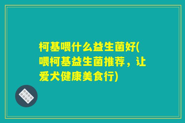 柯基喂什么益生菌好(喂柯基益生菌推荐,让爱犬健康美食行) 柯基喂什么益生菌好(喂柯基益生菌推荐,让爱犬健康美食行)