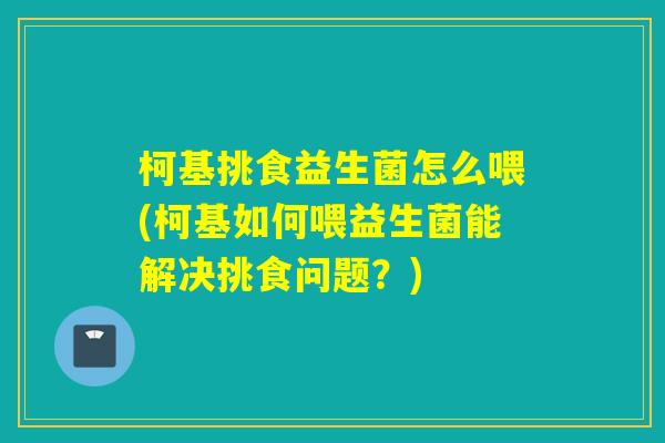 柯基挑食益生菌怎么喂(柯基如何喂益生菌能解决挑食问题？)
