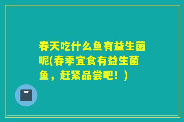 春天吃什么鱼有益生菌呢(春季宜食有益生菌鱼，赶紧品尝吧！)