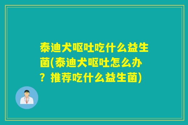 泰迪犬呕吐吃什么益生菌(泰迪犬呕吐怎么办？推荐吃什么益生菌)