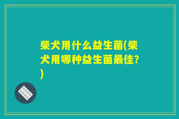 柴犬用什么益生菌(柴犬用哪种益生菌最佳？)