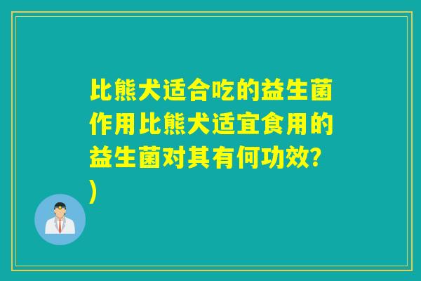 比熊犬适合吃的益生菌作用比熊犬适宜食用的益生菌对其有何功效？)