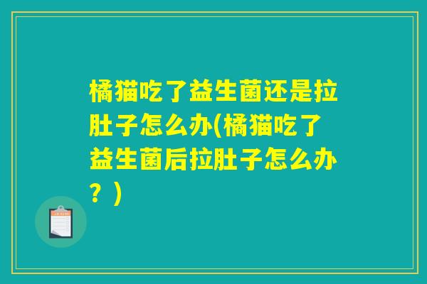 橘猫吃了益生菌还是拉肚子怎么办(橘猫吃了益生菌后拉肚子怎么办?) 橘猫吃了益生菌还是拉肚子怎么办(橘猫吃了益生菌后拉肚子怎么办?)