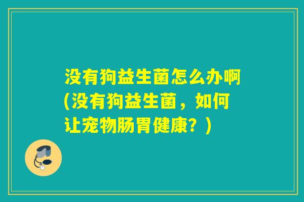 没有狗益生菌怎么办啊(没有狗益生菌，如何让宠物肠胃健康？)
