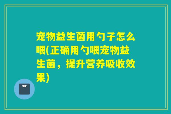 宠物益生菌用勺子怎么喂(正确用勺喂宠物益生菌，提升营养吸收效果)