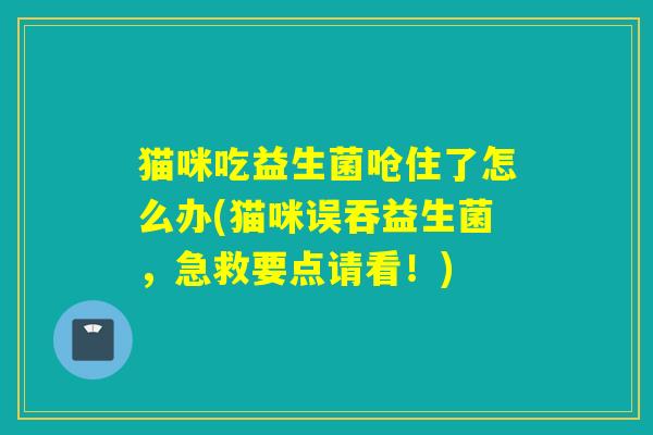 猫咪吃益生菌呛住了怎么办(猫咪误吞益生菌，急救要点请看！)