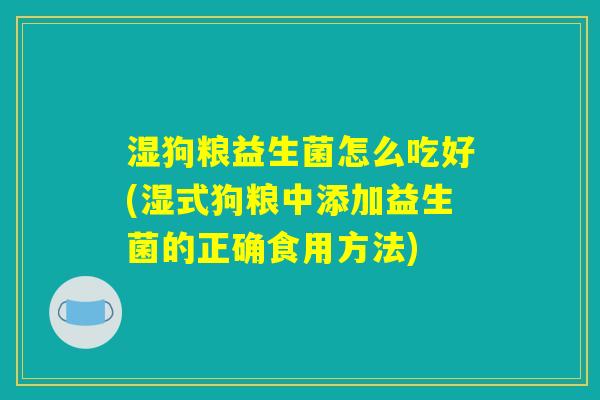 湿狗粮益生菌怎么吃好(湿式狗粮中添加益生菌的正确食用方法) 湿狗粮益生菌怎么吃好(湿式狗粮中添加益生菌的正确食用方法)