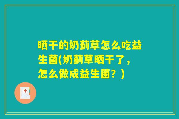 晒干的奶蓟草怎么吃益生菌(奶蓟草晒干了，怎么做成益生菌？)