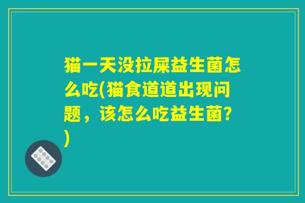 猫一天没拉屎益生菌怎么吃(猫食道道出现问题，该怎么吃益生菌？)