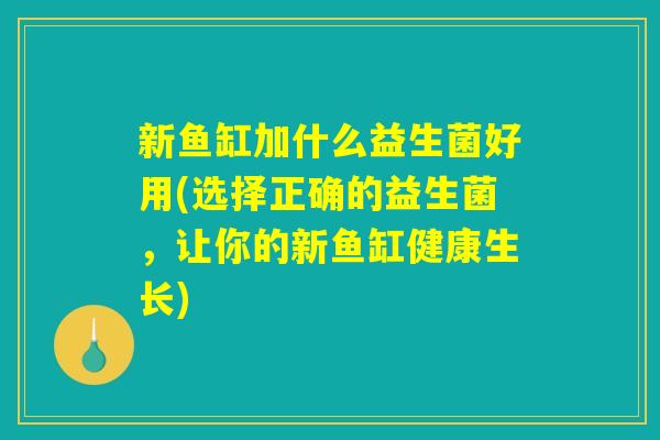 新鱼缸加什么益生菌好用(选择正确的益生菌,让你的新鱼缸健康生长) 新鱼缸加什么益生菌好用(选择正确的益生菌,让你的新鱼缸健康生长)