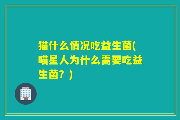 猫什么情况吃益生菌(喵星人为什么需要吃益生菌？)