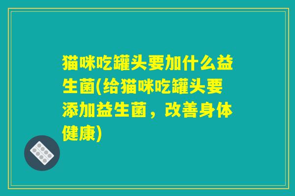 猫咪吃罐头要加什么益生菌(给猫咪吃罐头要添加益生菌，改善身体健康)