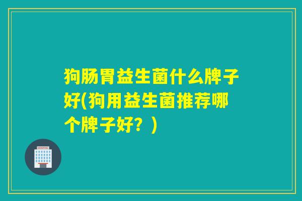 狗肠胃益生菌什么牌子好(狗用益生菌推荐哪个牌子好？)
