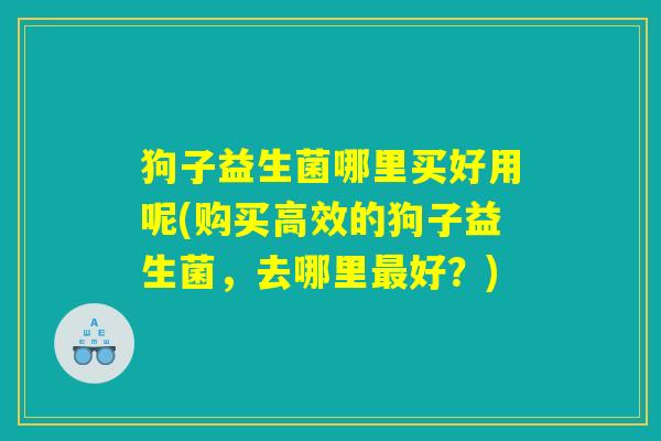 狗子益生菌哪里买好用呢(购买高效的狗子益生菌，去哪里最好？)