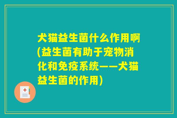 犬猫益生菌什么作用啊(益生菌有助于宠物消化和免疫系统——犬猫益生菌的作用)