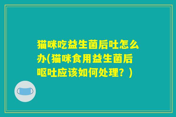 猫咪吃益生菌后吐怎么办(猫咪食用益生菌后呕吐应该如何处理？)