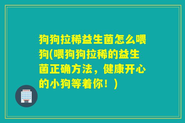 狗狗拉稀益生菌怎么喂狗(喂狗狗拉稀的益生菌正确方法，健康开心的小狗等着你！)