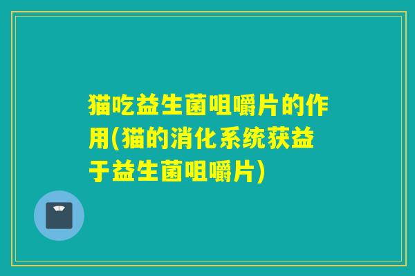猫吃益生菌咀嚼片的作用(猫的消化系统获益于益生菌咀嚼片)