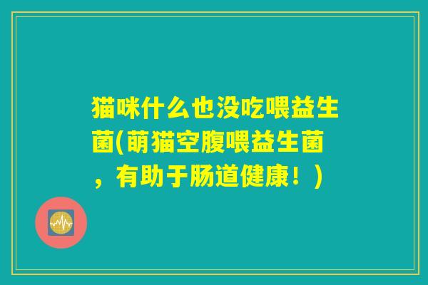 猫咪什么也没吃喂益生菌(萌猫空腹喂益生菌，有助于肠道健康！)