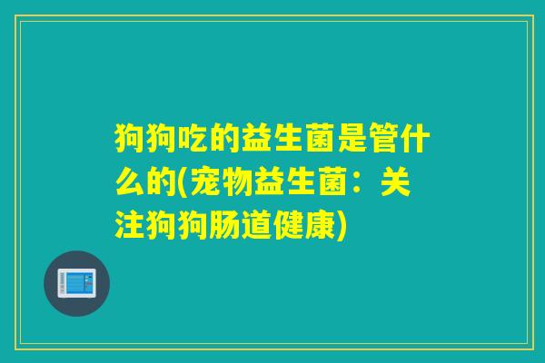 狗狗吃的益生菌是管什么的(宠物益生菌：关注狗狗肠道健康)