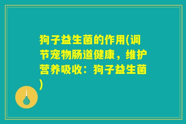 狗子益生菌的作用(调节宠物肠道健康，维护营养吸收：狗子益生菌)