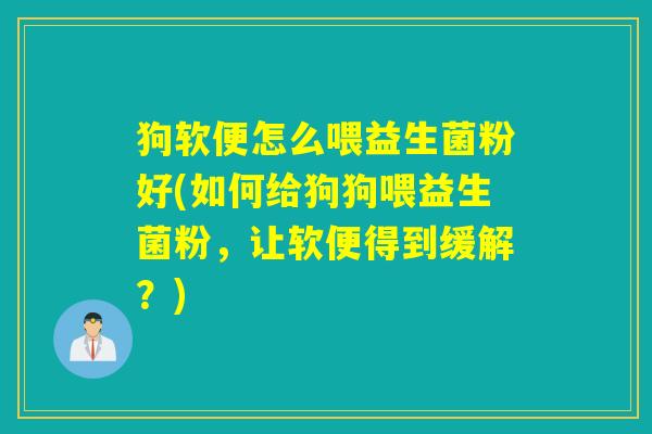 狗软便怎么喂益生菌粉好(如何给狗狗喂益生菌粉，让软便得到缓解？)