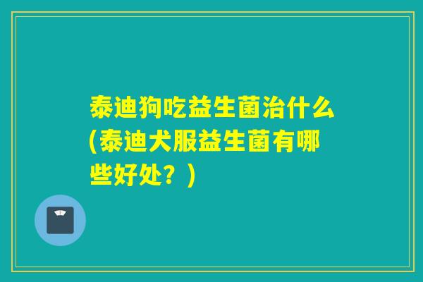 泰迪狗吃益生菌治什么(泰迪犬服益生菌有哪些好处？)